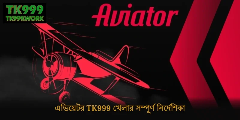 এভিয়েটর Tk999 খেলার সম্পূর্ণ নির্দেশিকা