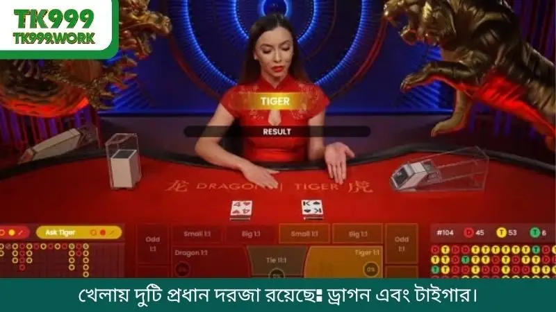 খেলায় দুটি প্রধান দরজা রয়েছে: ড্রাগন এবং টাইগার।