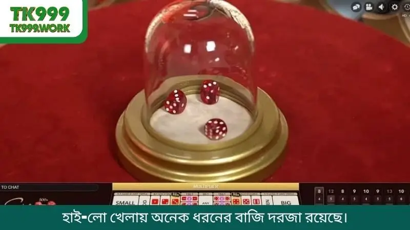 হাই-লো খেলায় অনেক ধরনের বাজি দরজা রয়েছে।
