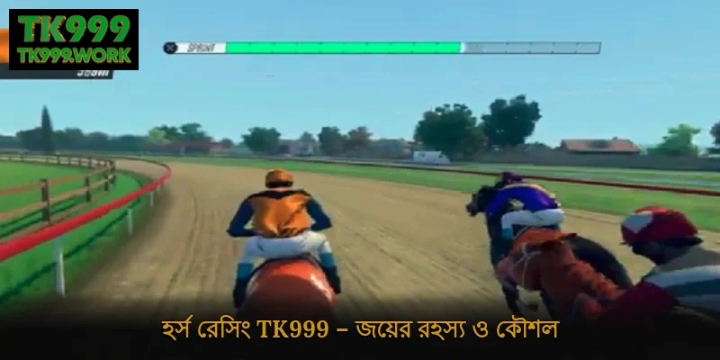 হর্স রেসিং Tk999 – জয়ের রহস্য ও কৌশল